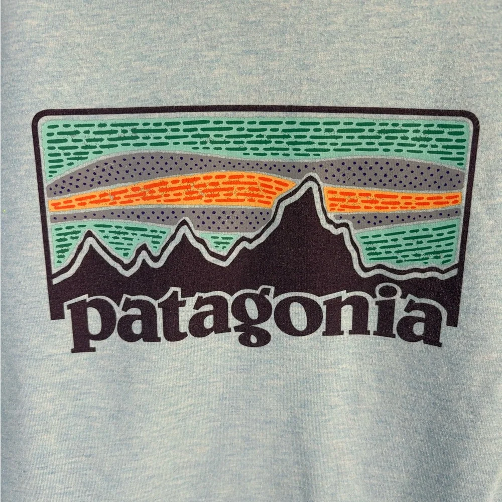 Patagonia Light Blue Hoodie with Logo - Picture 2 of 5